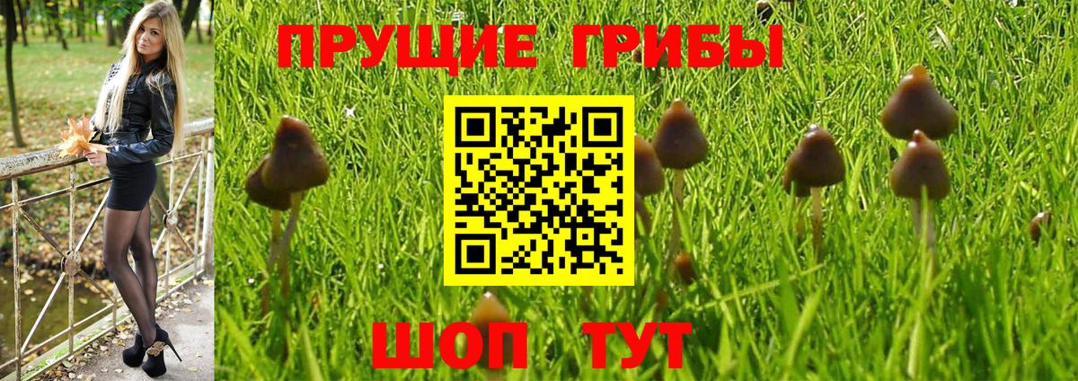 Стрежевой  Галлюциногенные грибы MAGIC MUSHROOMS  Вход с VPN 